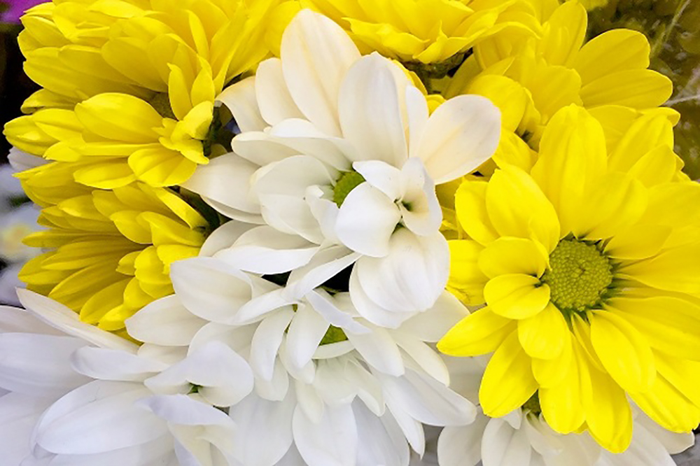 神式葬儀の意味と特徴の写真